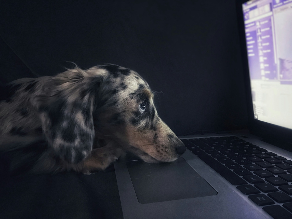 Surrey accountants explain Making Tax Digital for Income Tax 2026
